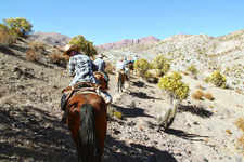 Chile-Northern Chile-Norte Chico Condor Trail